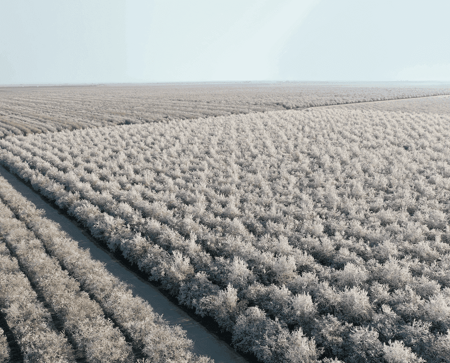 a farm field in winter